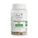 Belle & Bio Harpagophytum Bio 120 gélules
