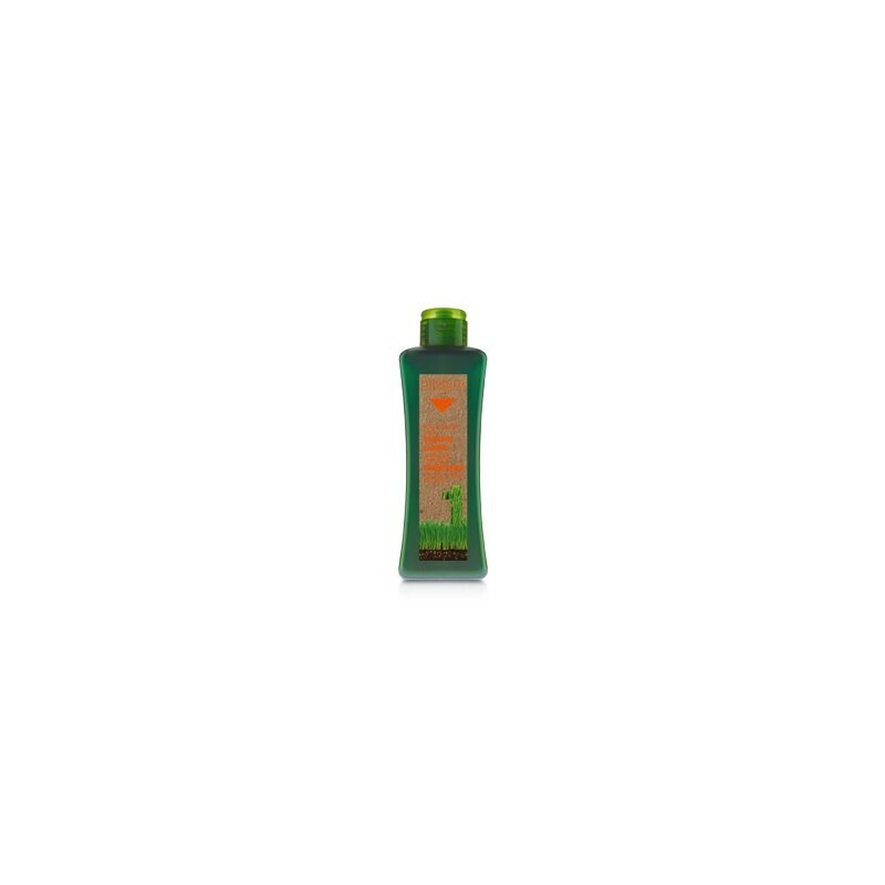 Biokera Shampooing cheveux traités 300 ml Biokera Shampooing cheveux traités 300 ml