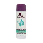 Capillum Shampooing séborégulateur 240 ml