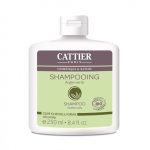 Cattier Shampooing argile verte cuir chevelu gras 250 ml