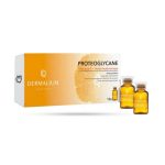 Dermalium Protéoglycane Vitamine C + AH 10 ampoules x 2 ml