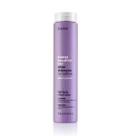 Erayba ABH Silver Shampooing No-Yellow 250 ml