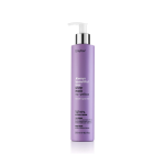 Erayba Silver No-Yellow Masque 250 ml