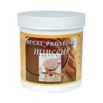 Fenioux Repas minceur chocolat 350 g