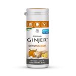 Ginjer Chewing-gum miel 30 g