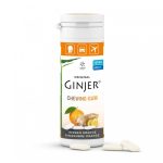 Ginjer Chewing-gum orange 30 g