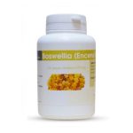 GPH Boswellia encens extrait 270 mg gélules