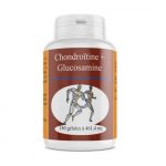 GPH Chondroïtine glucosamine 461,4 mg 180 gélules