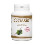 GPH Diffusion Cassis 250 mg 100 gélules