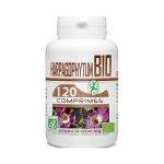 GPH Harpagophytum Bio 400 mg 100 comprimés