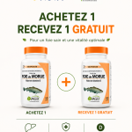 MGD Foie de morue 140 capsules + 1