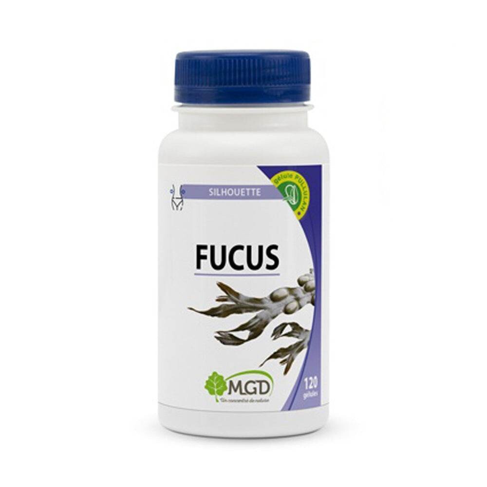 MGD Fucus 120 gélules MGD Fucus 120 gélules