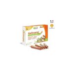 MGD Gelinseng 20 ampoules