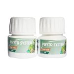 Phyto Système Thé vert et ail 60 gélules
