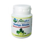 Vertu Plus Ginkgo Biloba 90 gélules