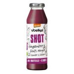 Voelkel Shot Gingembre fruits rouges Bio 280 ml